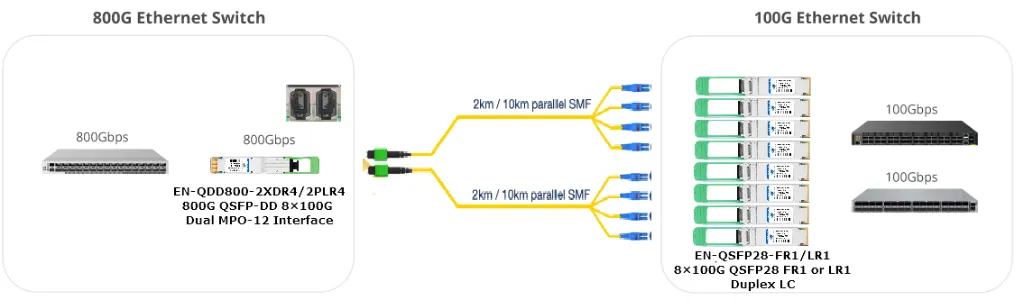 EN-QDD800-2XDR4_2PLR4 Dual MPO-12 Interface breakout to 8x 100G FR1_LR1 Duplex LC connectivity example.webp