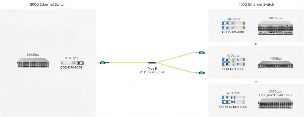 EN-QDD800-DR8-M16 800G DR8 2x400G DR4 example.webp